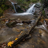 Autumn in the Ardennes